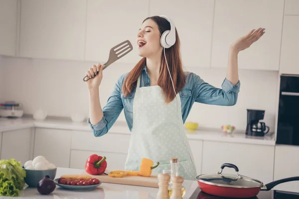 Foto van de vrouw beginnen bereiden familie diner zingen als rock ster met keukengerei gebruiksvoorwerp dolblij oorkleppen afspeellijst — Stockfoto