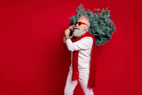 Profile side view portrait of his he nice attractive handsome virile strong confident gray-haired man wearing pullover sweater festal tree woodcutter isolated on bright vivid shine red background — Stock Photo, Image