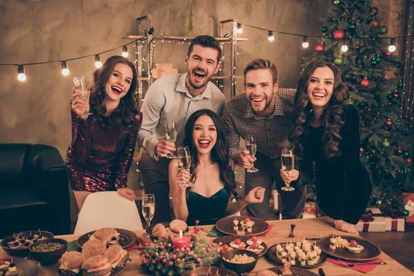 매력적인 친구의 초상화는 집에서 상록 전나무 나무와 집에서 토스트를 제공 홈 메이드 음식 크리스마스 저녁 식사와 테이블에 유리를 개최 — 스톡 사진