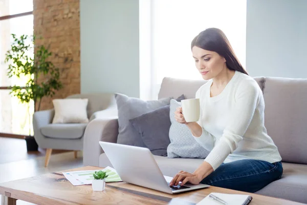 Portret jej ona ładne Winsome atrakcyjny piękny spokojny koncentruje inteligentne sprytny dziewczyna picie gorącej latte siedząc na kanapie podejmowania starcie online w jasnym białym wnętrzu salonu-Room wewnątrz — Zdjęcie stockowe