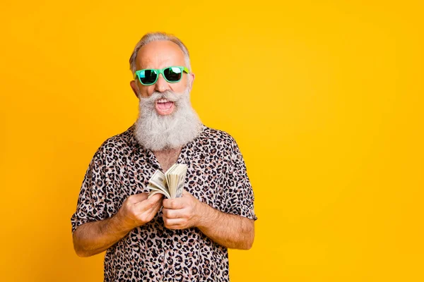 Retrato de louco engraçado velho homem barbudo hipster rico milionário em óculos verdes óculos contar grande soma de dinheiro grito vestindo camisa de leopardo isolado sobre fundo amarelo — Fotografia de Stock