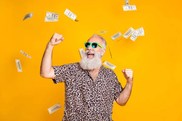 Retrato de louco aposentado homem velho barbudo funky com óculos óculos levantar os punhos gritar sim comemorar vitória olhar para o dinheiro caindo vestindo camisa de leopardo isolado sobre fundo amarelo — Fotografia de Stock