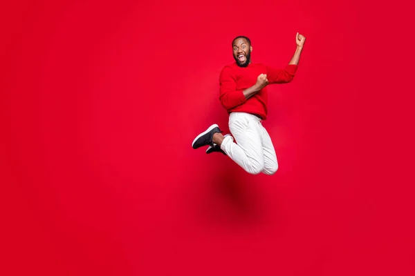 Full size photo of cheerful student with beard wearing pullover pants trousers raising fists screaming yeah jumping isolated over red background