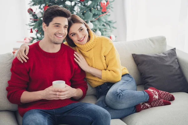 Pleine longueur au-dessus de la photo haute de deux personnes assis sur le canapé ont romance pendant les vacances de Noël regarder des films du Nouvel An homme tenir tasse avec lait de poule femme étreinte porter rouge chaussettes tricotées dans la maison — Photo