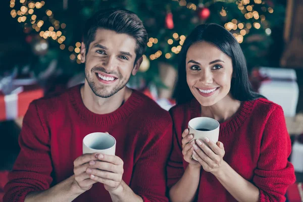 Retrato de duas pessoas pacíficas se divertindo desfrutando de férias de Natal segurando caneca sentar sob abeto evergreen com luzes x-mas em casa dentro de casa — Fotografia de Stock