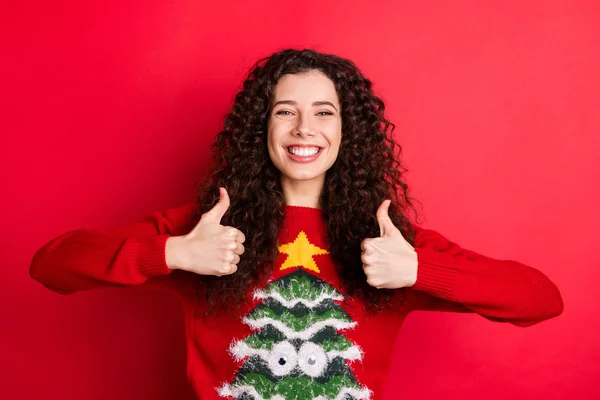 Portrét srandovní příjemné pozitivní dámy Ukázat palec nahoru doporučit příjemný dárek pro x-mas sezonní módní svetr s vánočním stromkem izolované přes červené barevné pozadí — Stock fotografie