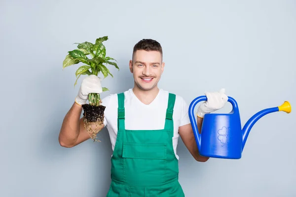 Foto di bello forte braccia uomo in possesso di irrigazione può pianta fresca andando a dare nuovo cambiamento di vita pot usura verde sicurezza salopette isolato sfondo grigio — Foto Stock