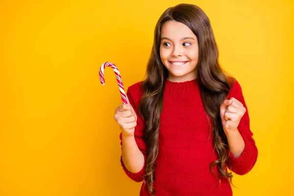 Gostoso não pode esperar. Retrato de engraçado funky viciado morena encaracolado cabelo criança espera natal hortelã doce cana desfrutar quer comer no ano novo partido desgaste vermelho pulôver isolado sobre cor amarela fundo — Fotografia de Stock