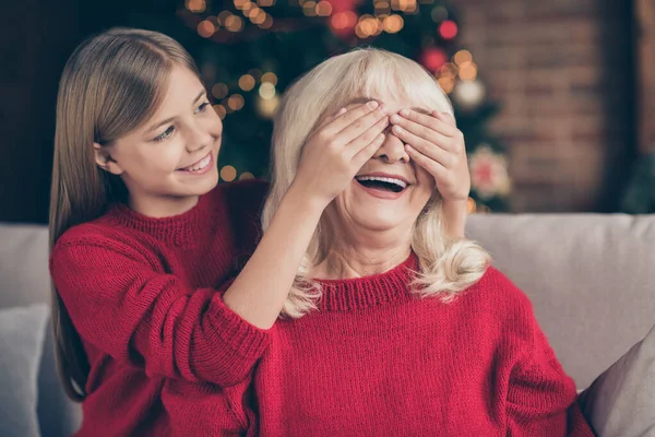 Närbild porträtt av trevlig attraktiv härlig söt glad glad glad barnbarn stänga mormödrar ögon dag vinter älva överraskning tradition på dekorerad industriell loft stil interiör hus — Stockfoto