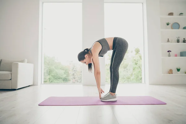 Full length body size photo of cheerful positive nice pretty cute attractive girlfriend stretching down to carpet doing physical exercises with ponytail behind — Stock Photo, Image