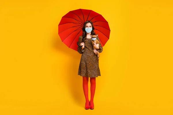 Tam boy vücut ölçülerinde, elinde güneş şemsiyesi tutan küçük köpek maskesi takıyor sosyal disiplin karantina kişisel izolasyon izole parlak, parlak, parlak, parlak, sarı arka plan — Stok fotoğraf