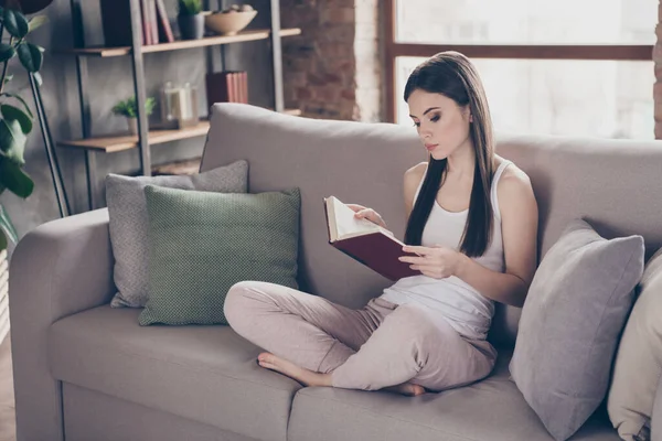 Longitud completa foto de la chica enfocada sentarse diván leer libro persona histórica biografía piernas cruzadas dobladas en la sala de estar interior de la casa en el interior — Foto de Stock