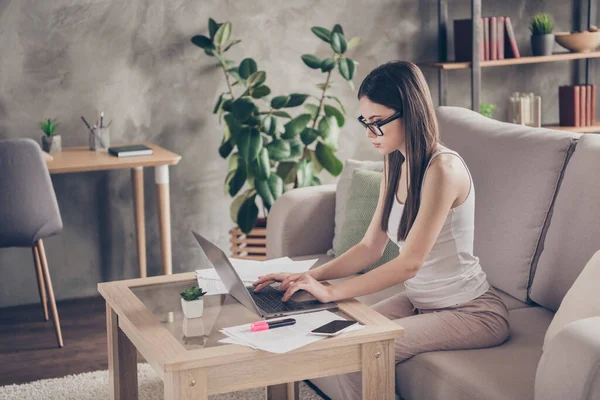 Perfil lado de la foto de la chica enfocada trabajo remoto portátil lectura objetivo puesta en marcha desarrollo informe de progreso proyecto sit divan in house indoors —  Fotos de Stock