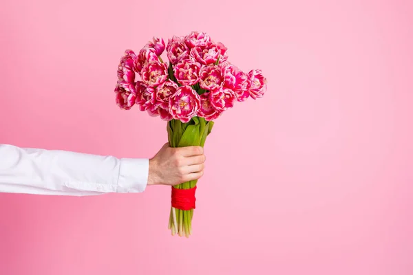 Bild av beskuren man arm hålla stora ljusa tulpaner gäng ger flickvän romantik gåva bukett 8 mars kvinna dag firande isolerad rosa färg bakgrund — Stockfoto
