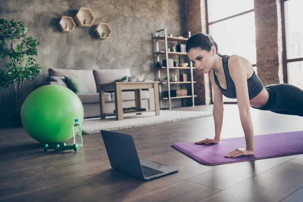 Photo of focused athlete active beautiful girl watch laptop aerobics yoga pilates exercise video doing plank on mat floor wear panties in house indoors — Stock Photo, Image