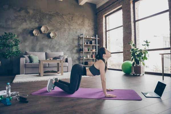 Full body profile side photo of focused stretch plank arms watch sportive workshop video laptop κάνει yoga προσπάθεια ενέργεια σωματική άσκηση φορώντας mat sneakers στο σπίτι — Φωτογραφία Αρχείου
