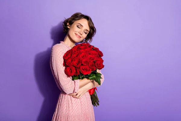 Retrato de bonita atractiva hermosa dulce alegre chica de ensueño sosteniendo en las manos abrazando rosas 14 Febrero aislado sobre brillante brillo vivo vibrante lila violeta color púrpura fondo —  Fotos de Stock