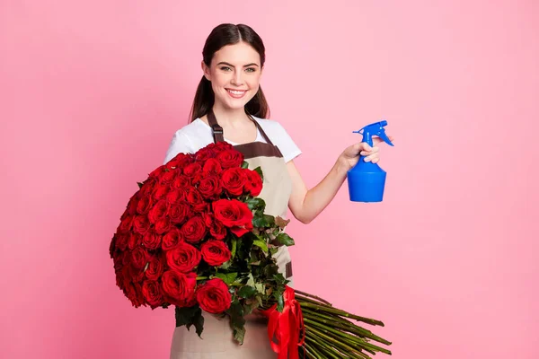 Πορτρέτο της αυτή ωραίο ελκυστικό όμορφο γοητευτικό χαρούμενο χαρούμενο χαρούμενο κορίτσι κρατώντας στα χέρια μεγάλα κόκκινα τριαντάφυλλα μπουκέτο πότισμα απομονωμένο πάνω από ροζ παστέλ χρώμα φόντο — Φωτογραφία Αρχείου