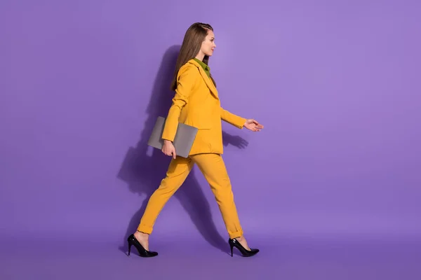 自信のある上司弁護士の女の子の完全な長さのプロフィール側の写真は、ノートパソコンを保持行く歩くコピースペース会議は、紫の色の背景に隔離されたズボンを着用 — ストック写真