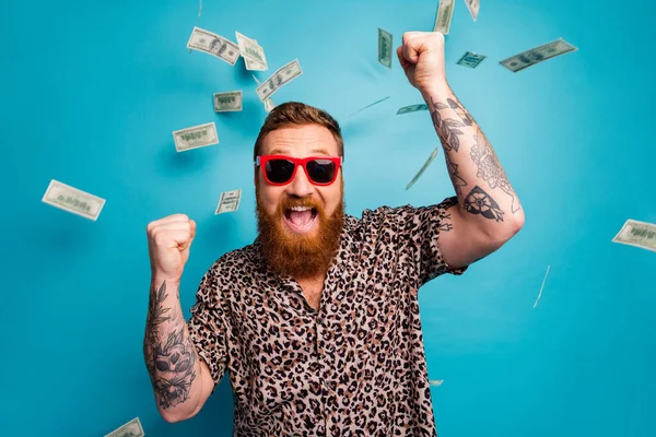 Fotografie bláznivý pohledný chlap luxus bohatý člověk dolary pád z nebe loterie cashback otevřená ústa vyhrát velké peníze zvýšit pěsti nosit leopard košile slunce specifikace izolované modré pozadí — Stock fotografie
