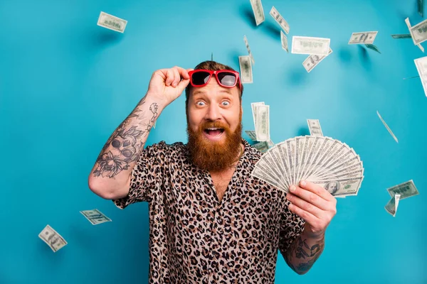 Zdjęcie podekscytowany macho facet trzymać wentylator usa dolarów dobry nastrój pieniądze luksusowe bogata osoba dolarów spadek dochodów loteria cashback nosić lampart koszula okulary odizolowane niebieskie tło — Zdjęcie stockowe