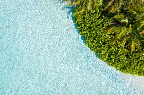 Topo acima alto ângulo aéreo drone vista de pura limpa água do mar selvas plage sonho quente dia ensolarado daydream clima verão temporada 2021 Bali Indonésia floresta tropical selvagem — Fotografia de Stock