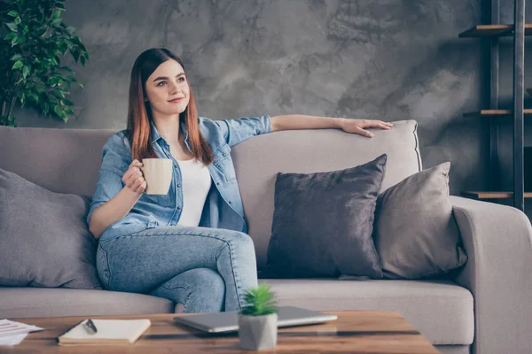 Portret van mooi mooi tevreden meisje zit divan hold cappuccino drank mok genieten van vrije tijd vakantie blik in huis binnen appartement — Stockfoto