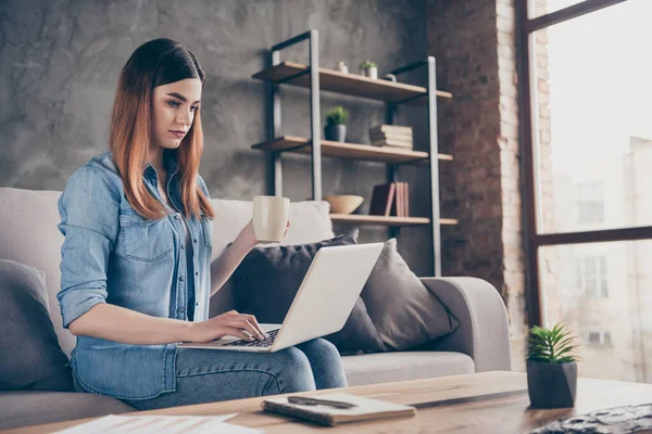 Skupiony szef kołnierz dziewczyna mają corona wirus kwarantanny pracy laptop czytać start up prezentacja rozwoju kolega trzymać kubek napój siedzieć diwan w domu w pomieszczeniach — Zdjęcie stockowe