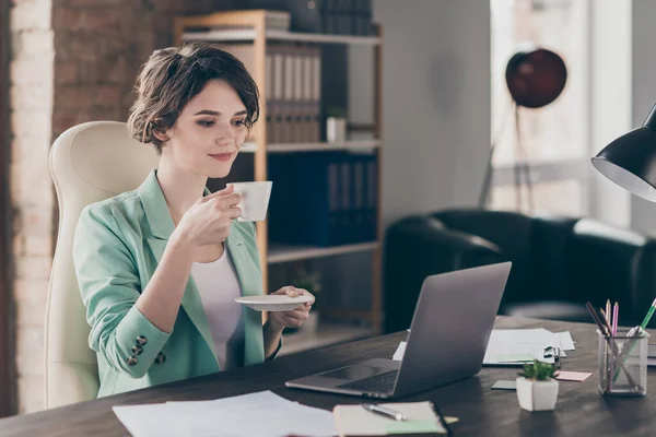 Foto de perfil de atraente senhora de negócios olhar notebook tabela assistir webinar segurar quente caneca de xícara de café fresco bom humor distância casa trabalho remoto sentar cadeira escritório interior moderno dentro de casa — Fotografia de Stock