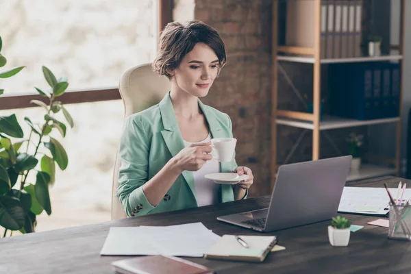 Foto de atraente senhora de negócios olhar notebook tabela assistir webinar mãos segurar quente fresco caneca xícara de café bom humor distância casa remoto trabalho sentar cadeira moderno interior escritório dentro de casa — Fotografia de Stock