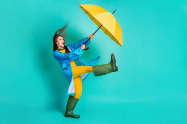 Full length profile photo of shocked lady stormy rainy weather walk street hold umbrella catch strong wind blew away wear raincoat sweater pants gumboots isolated teal color background clipart