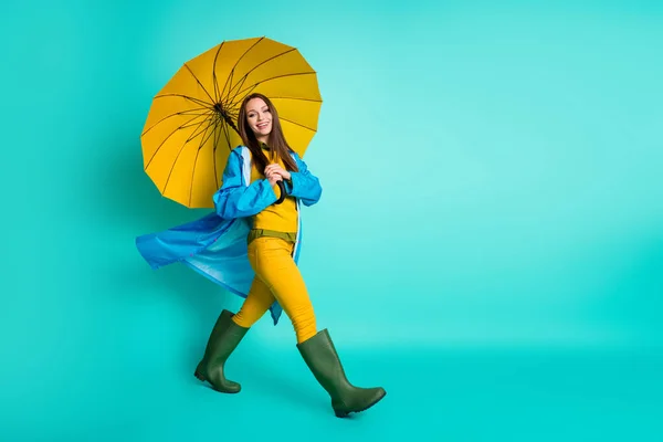 Foto de perfil de longitud completa de la atractiva señora bonita de buen humor lluvioso tiempo caminar charcos calle celebrar gran paraguas amarillo usar impermeable pantalones pantalones de goma botas de color verde azulado aislado fondo —  Fotos de Stock