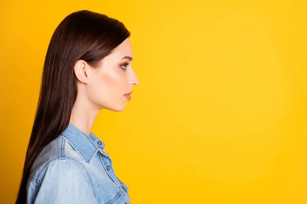 Profilseite Foto von gleichgesinnten zuverlässigen leitenden Angestellten Mädchen suchen Kopierraum hören Mitarbeiter Lösung tragen lässigen Stil Kleidung isoliert über lebendigen Farbhintergrund — Stockfoto