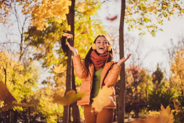 Fotografie krásné okouzlující dáma zářící s úsměvem házení zažloutlé padající listí stromy kolem klidného rohu městský park nosit sluchátka šála zelená rolák oranžová větrovka kalhoty venku — Stock fotografie
