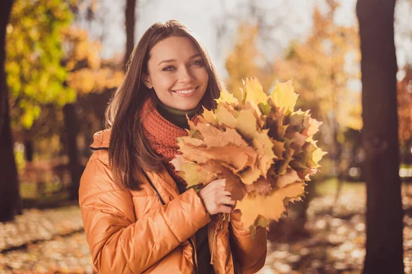 Photo of cute lovely lady beaming toothy smiling hold żółte spadające liście duża kolekcja piękne niezapomniane jesień zapach park miejski nosić szalik pomarańczowy wiatrówka na zewnątrz — Zdjęcie stockowe