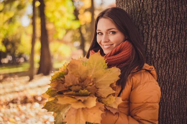 Październikowe wiadro. Photo of pretty lovely dreamy lady smiling hold żółte liście duży stojak kolekcji wśród drzew jesień park nosić szalik pomarańczowy wiatrówka na zewnątrz — Zdjęcie stockowe