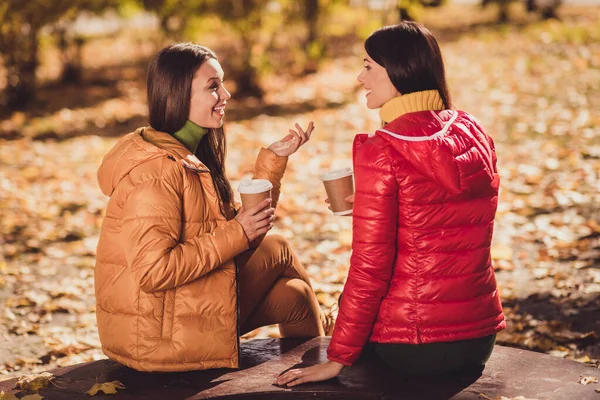 Profil sida visa porträtt av två trevliga attraktiva charmiga glada glada glada bästa flickvänner spenderar helgen prata diskutera nyheter dricka latte cappuccino varm dryck — Stockfoto