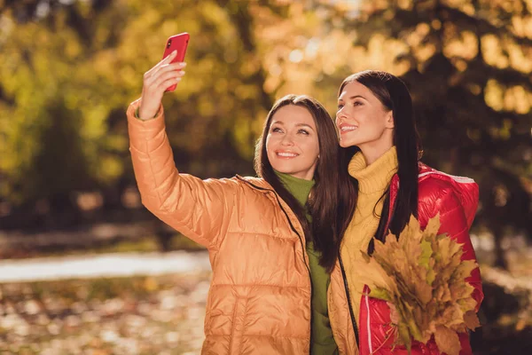 매력적 이고 명랑 한 두 여자 친구가 10 월 주말을 손에 들고 나무 잎을 들고 셀카를 화창 한 날 사진 촬영하는 모습 — 스톡 사진