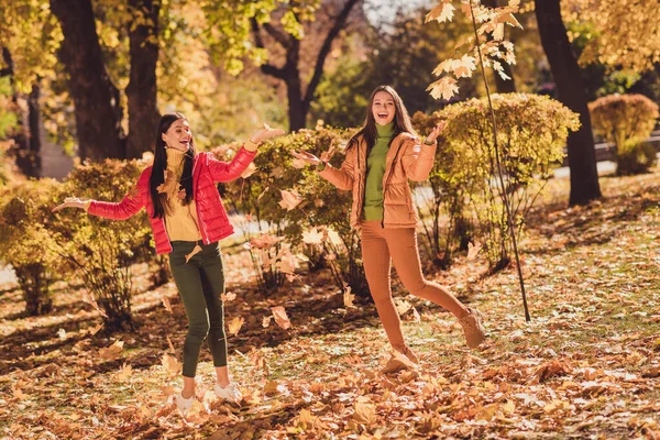 Full längd kroppsstorlek utsikt över två trevliga attraktiva ganska glada glad glad glad bästa kompis kamrat flickvänner tillbringar helgen utomhus ha kul kasta gula träd löv njuter av dans lura — Stockfoto