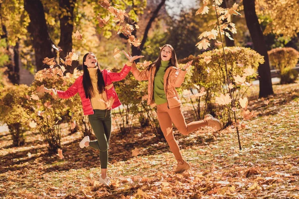 Full längd kroppsstorlek utsikt över två trevliga attraktiva ganska glad positiv sorglös glad glad glad flickvänner tillbringa helgen utomhus har kul kasta gula trädblad njuter av semester — Stockfoto