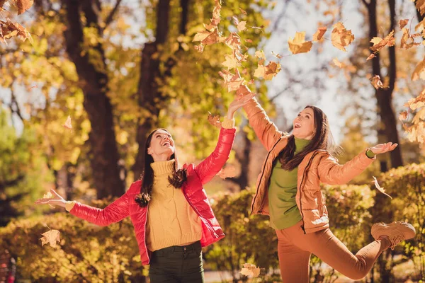 Foto de dos chicas alegres positivas disfrutan de lanzar la captura de aire volar hojas de arce mirar hacia arriba el cielo usar abrigos rojos amarillos en el parque de la ciudad de otoño —  Fotos de Stock