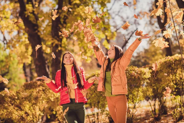 Autumn weekend zabawa koncepcja czasu. pozytywne dziewczyny kumple cieszyć rzut złapać powietrza mucha klon liście nosić czerwony żółty odzież wierzchnia w zachód słońca las park trawnik — Zdjęcie stockowe