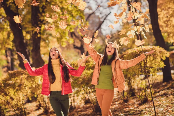 İki neşeli kızın fotoğrafı. Havadan uçan akçaağaç yaprakları fırlatırlar. Sonbahar günbatımı park çimlerinde kırmızı sezonluk giysiler giyerler. — Stok fotoğraf