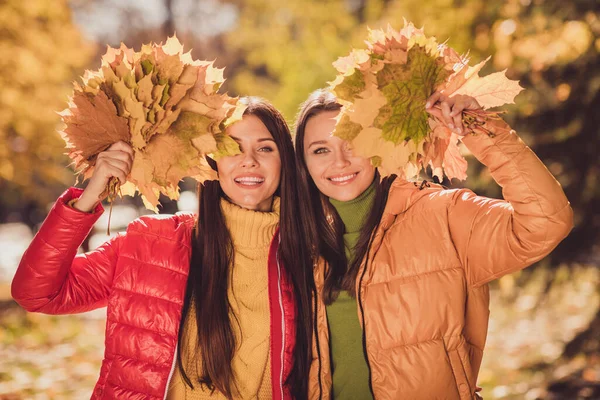 İki neşeli kızın fotoğrafı. Sonbahar ormanı istirahatı. Akçaağaç yaprakları toplayın. — Stok fotoğraf