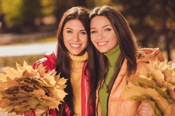 Крупним планом фото двох позитивних приятелів дівчата насолоджуються осіннім парком лісовий відпочинок тримайтеся збирати кленове листя носити яскраве вбрання — стокове фото