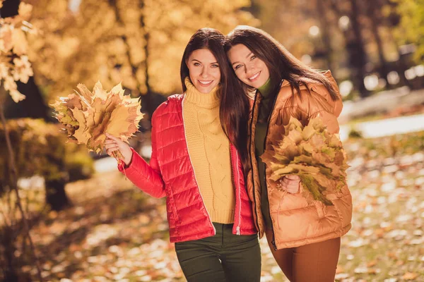 İki kızın fotoğrafı. En iyi arkadaşlar dinlensin. Sonbahar parkı, akçaağaç yaprağı toplamak. — Stok fotoğraf