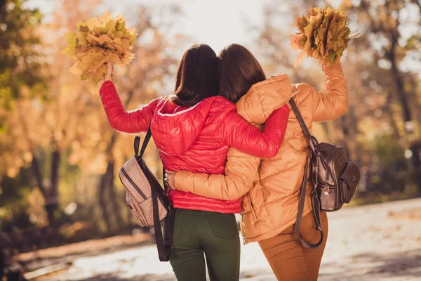 Bakre ryggraden visa foto av två vänner för evigt flickor njuta stad promenad centrum höst park håll samla lönn löv bära väska ryggsäck oktober ytterkläder — Stockfoto