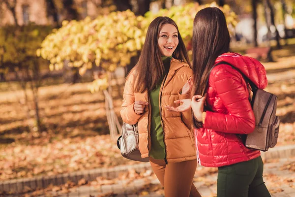 Profil tarafı fotoğrafı. Heyecanlı iki kız arkadaş güz parkında yürürken eğleniyor. — Stok fotoğraf