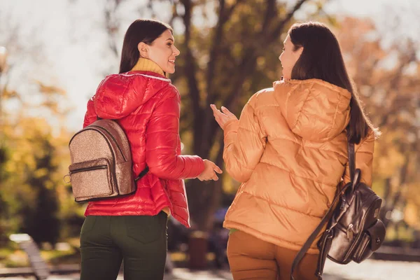 Arka omurgada iki kişinin resmi var. Sonbahar parkı yolunda yürüyen kızlar. Neşeli konuşmalar yapıyorlar. — Stok fotoğraf