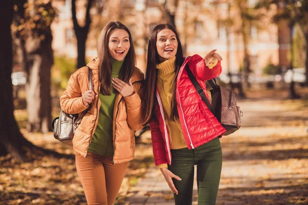 Foto av två positiva flickor kompisar turister vila koppla av falla park peka finger ekorrar hålla väska slitage årstid ytterkläder — Stockfoto